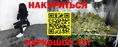 гашик Бузулук