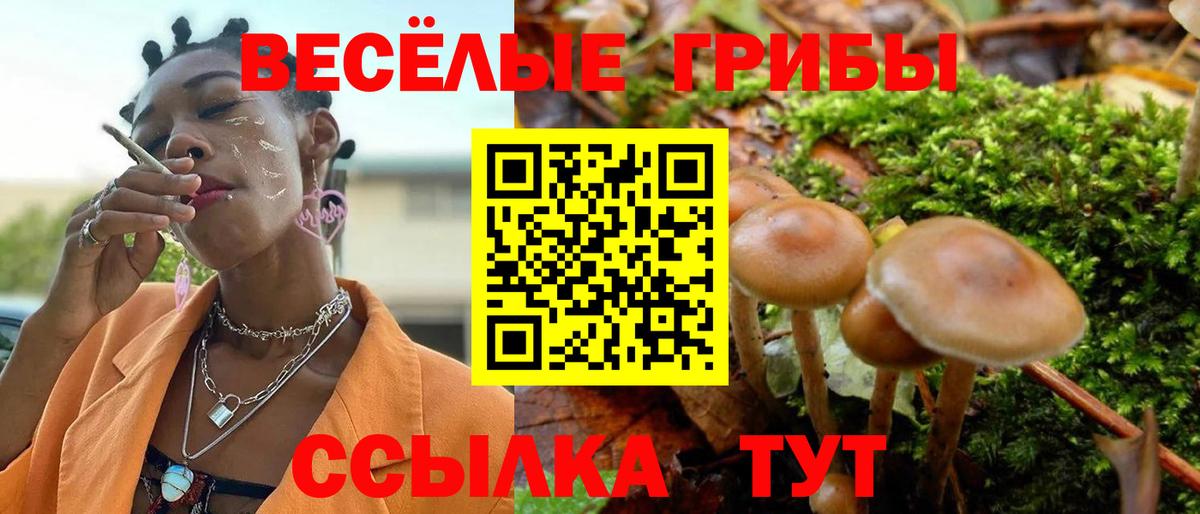 Псилоцибиновые грибы Cubensis  Вход с VPN  Ступино  Псилоцибиновые грибы Cubensis 
